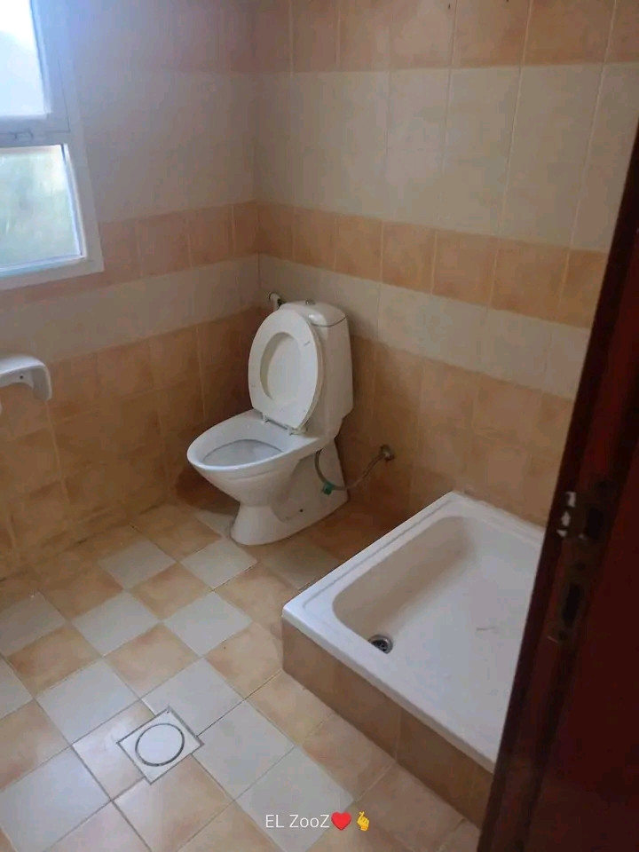 shk-balaathyb-alshmaly-krb-alhdyk61789382902.jpg