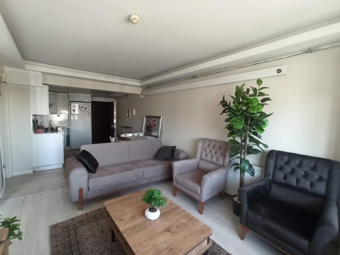 shk-fakhr-dlta-dyloks01786877119.jpg