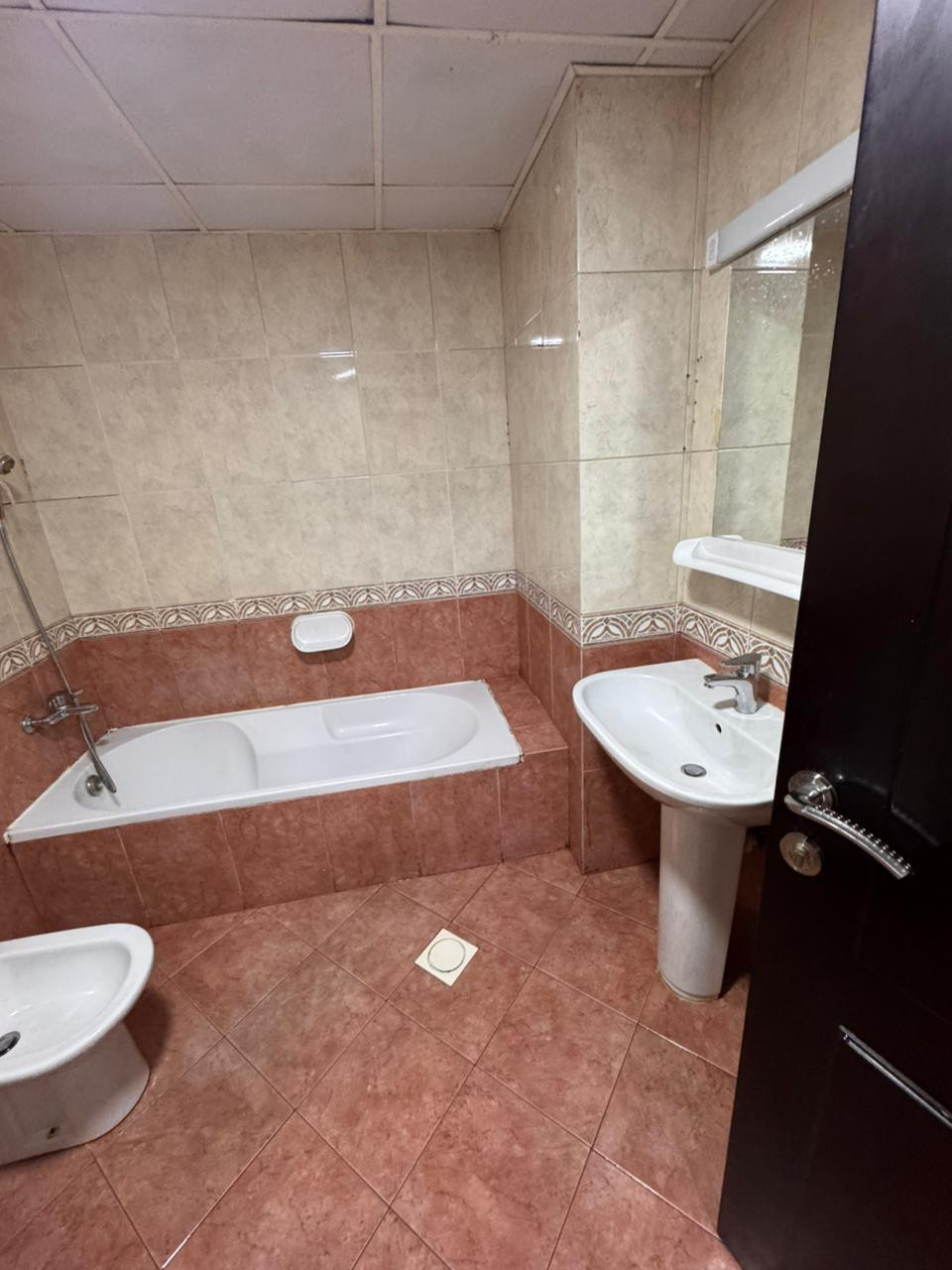 shk-fkhm-o-oasaa-balksbaaa51791315269.jpg