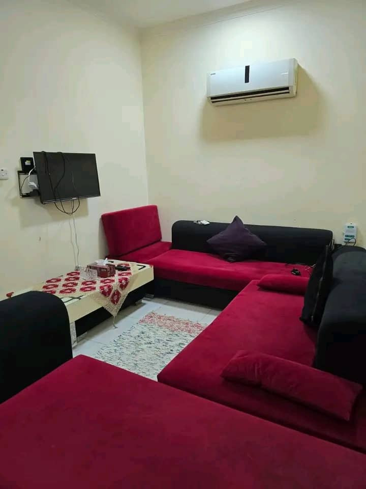 shk-fy-boshr01791803682.jpg