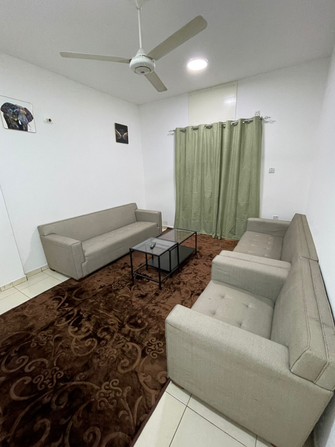 shk-fy-moylh-algdyd01781456533.jpg