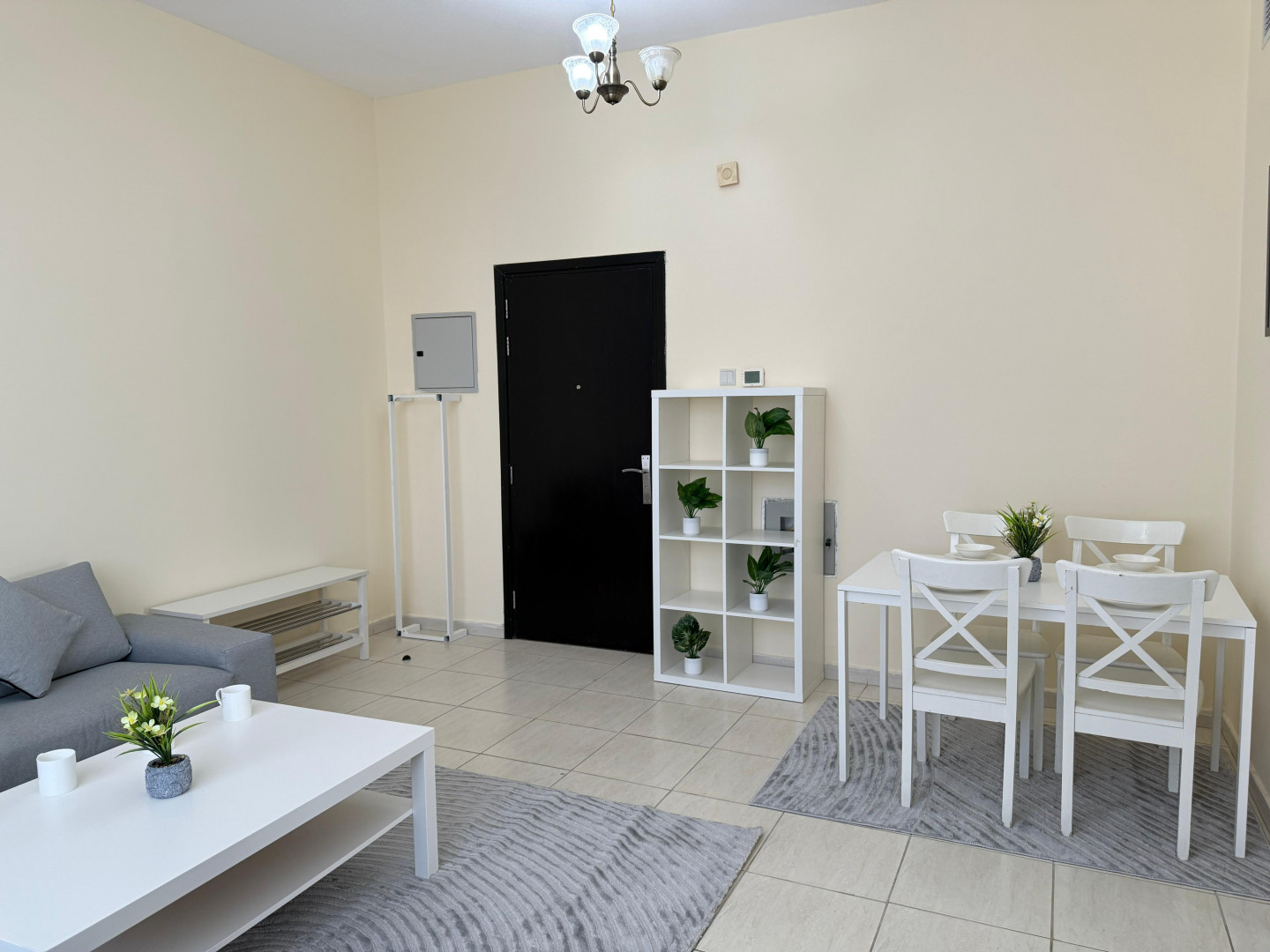 One bedroom apartment with living room, first occupancy
