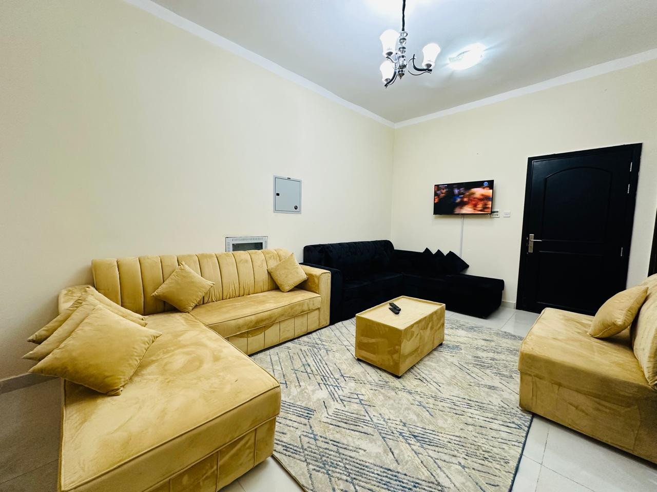 shk-ghrf-osalh-frsh-ndyf01788956416.jpg