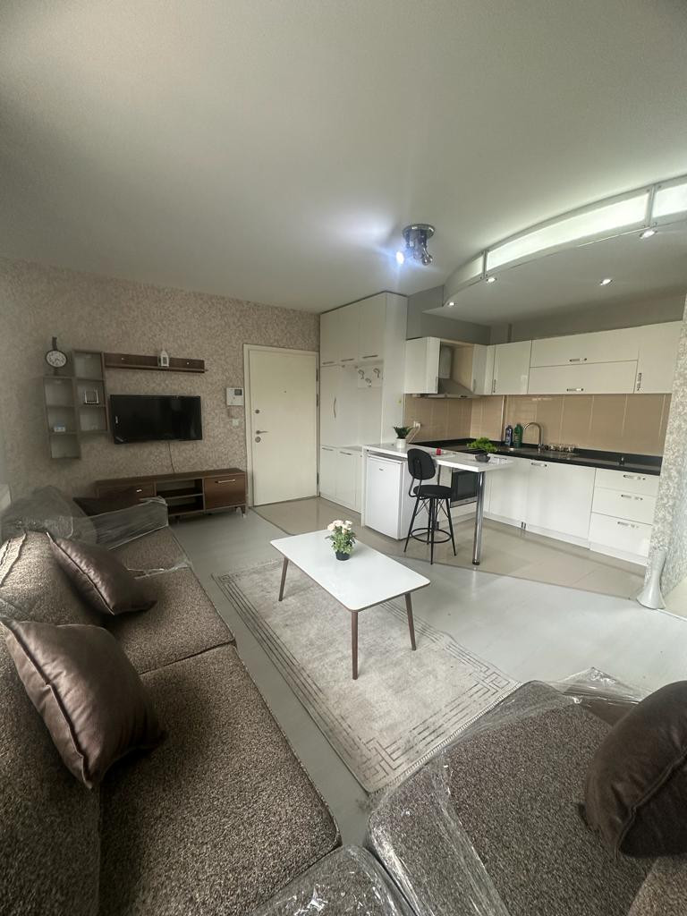 One-bedroom apartment for rent