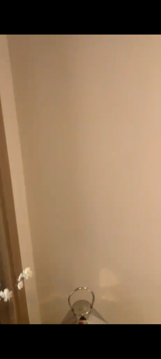 Fully furnished apartment for rent