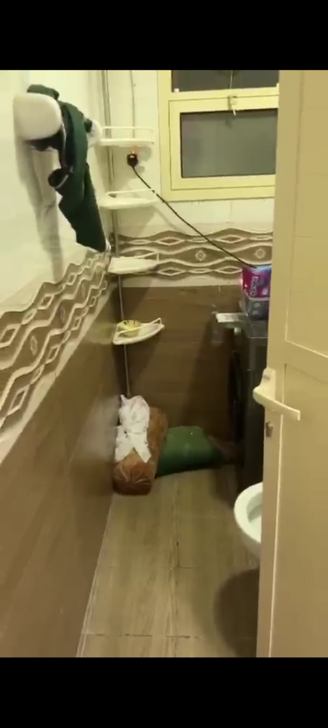 Furnished apartment in Rawda 2