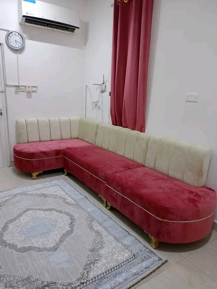 Furnished apartment with distinctive furniture