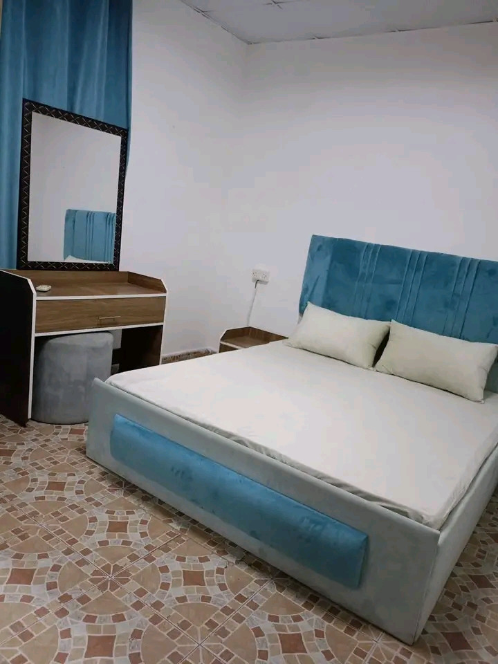 Furnished apartment with distinctive furniture