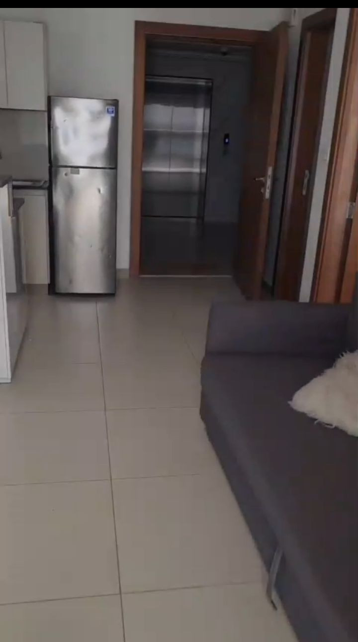 Furnished apartment in Silicon