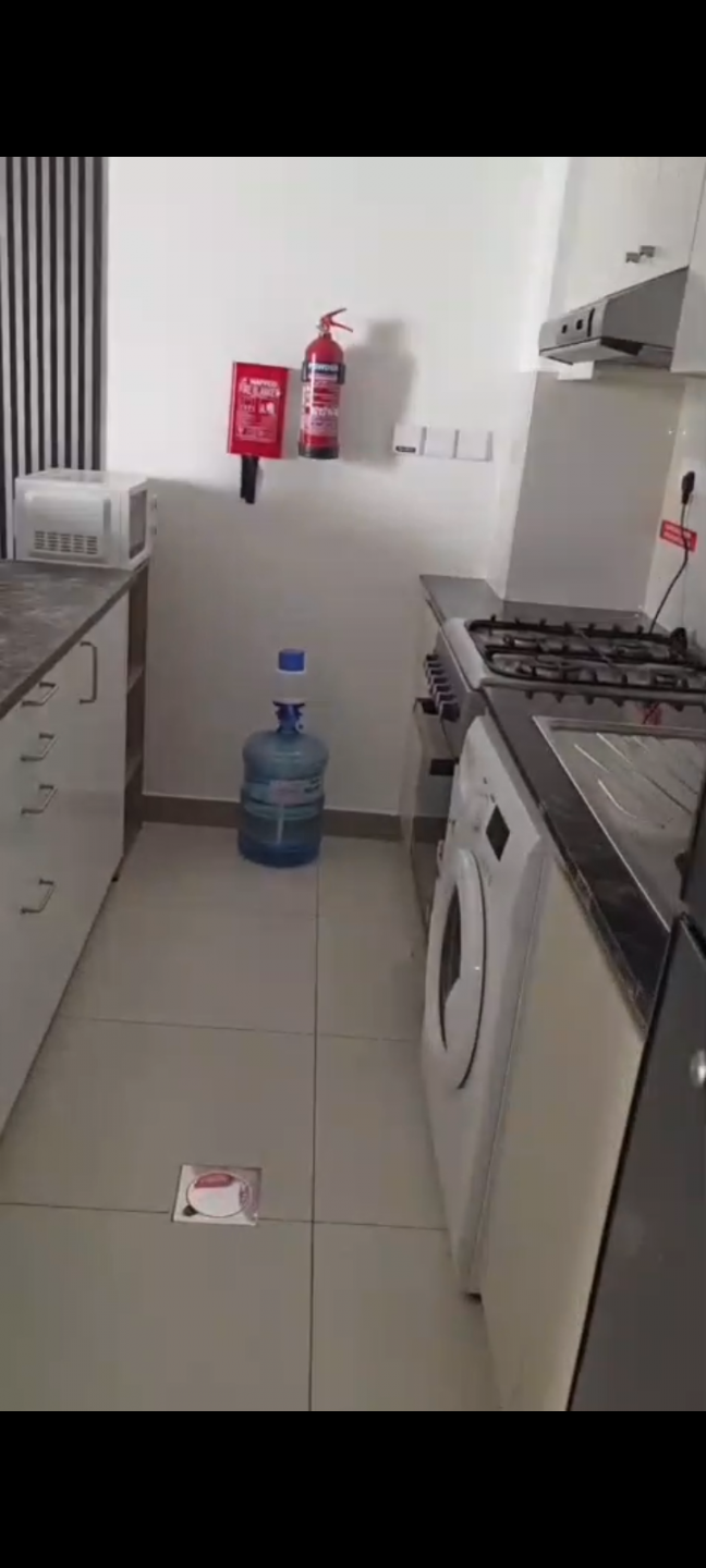 Furnished apartment in Silicon
