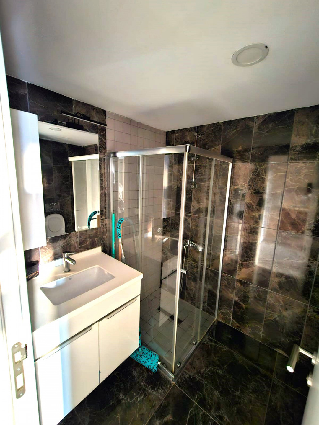 Luxury furnished apartment