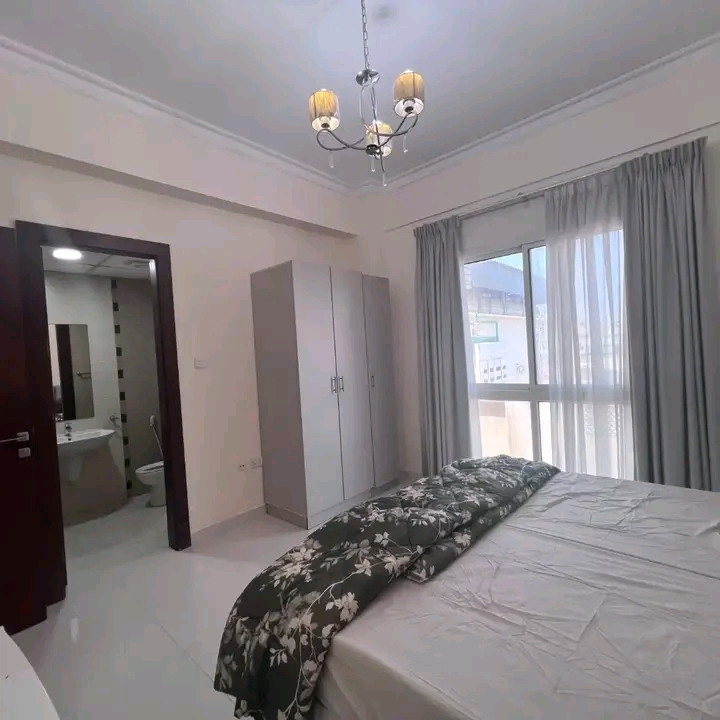 Furnished and distinctive apartment with central air conditioning