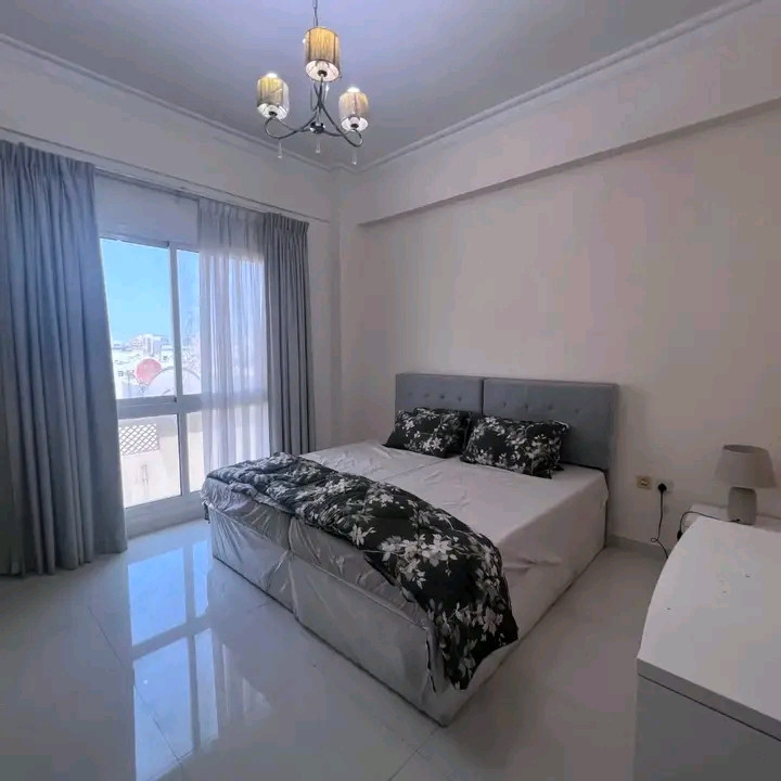 Furnished and distinctive apartment with central air conditioning
