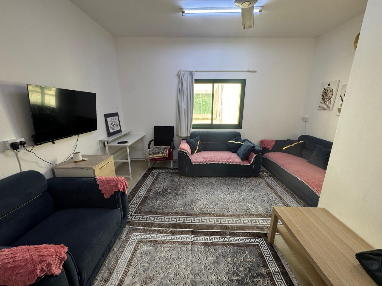 shk-mmyz-balrod01793217043.jpg