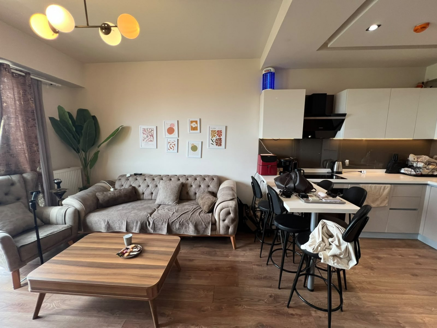 shk-mmyz-bylyk-dozo01785943327.jpg