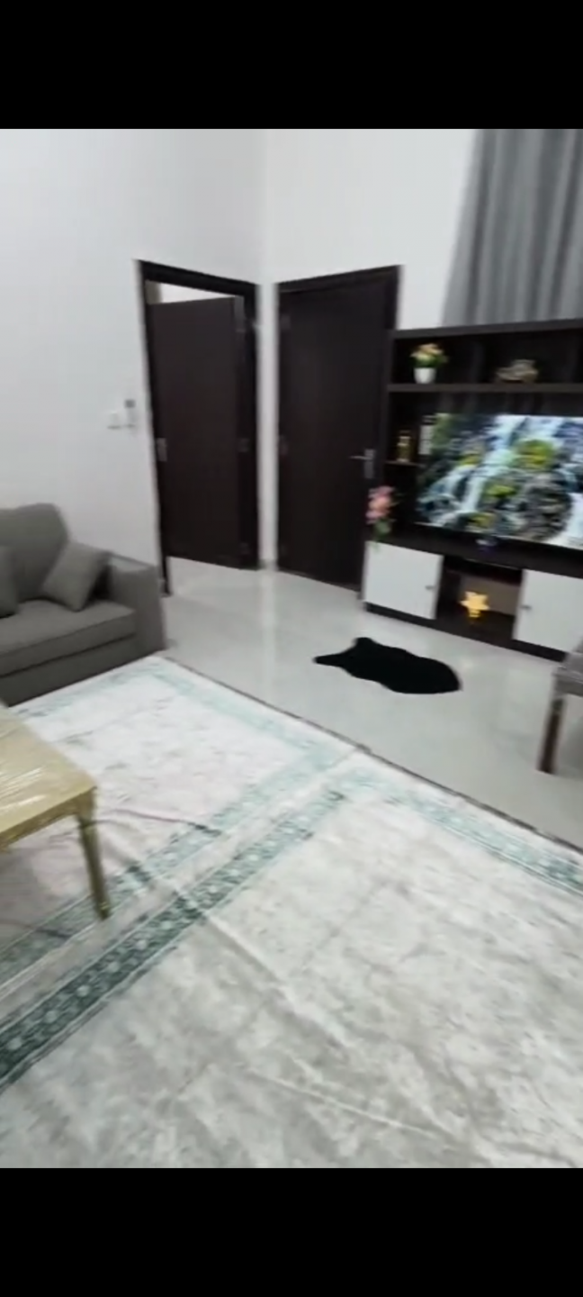 A distinctive, fully furnished apartment
