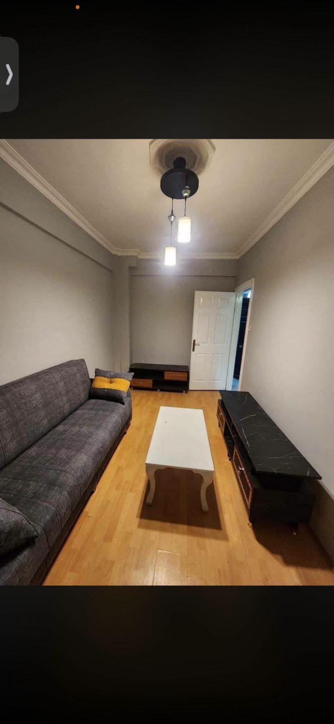shk-mmyz-mfrosh51784098848.jpg