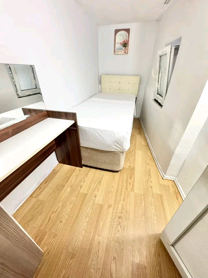 Spacious fully furnished apartment, annual rent