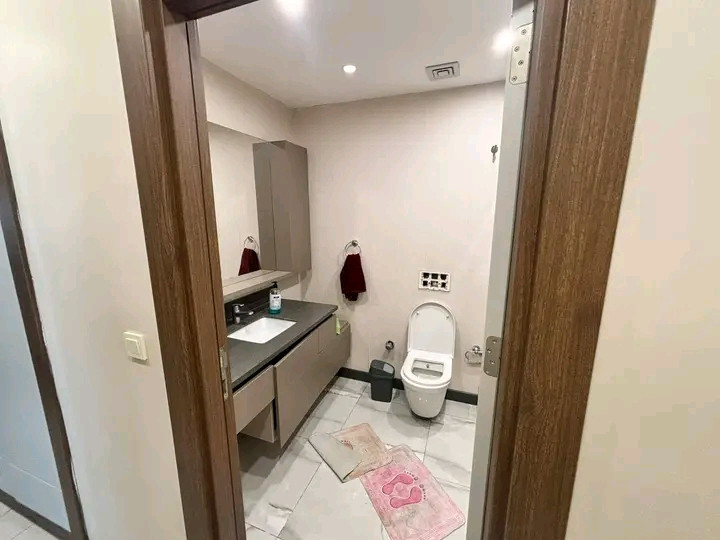 Spacious apartment, 26th floor, elevator available (Vib)