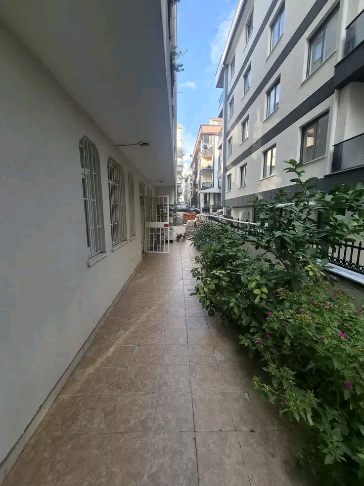 shkghrftyn-bmokaa-mmyz-afglar-dnyzkoshklar01790969372.jpg