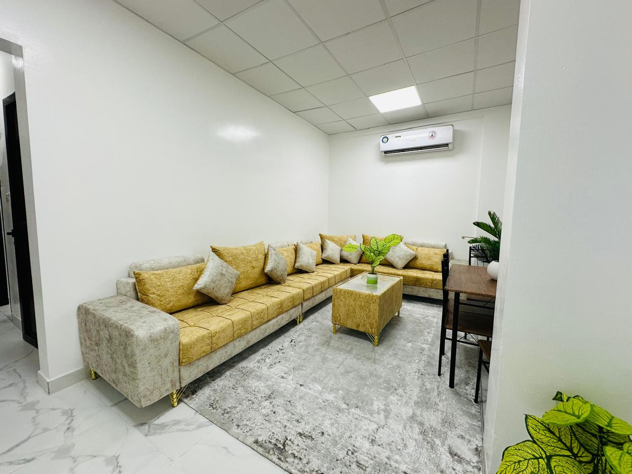 shkh-ghrf-osalh-llaygar-zp4a01785686243.jpg