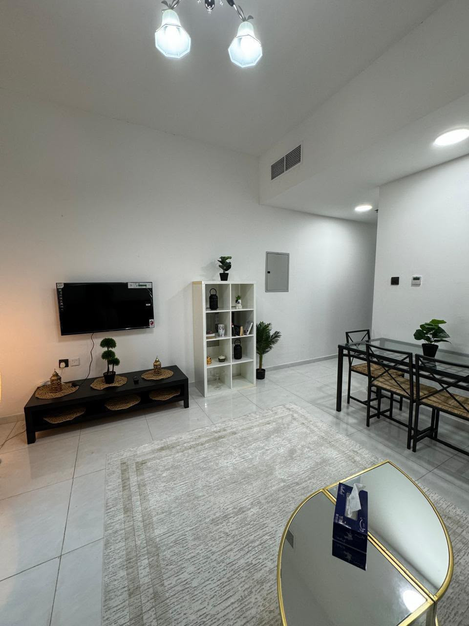 One bedroom apartment