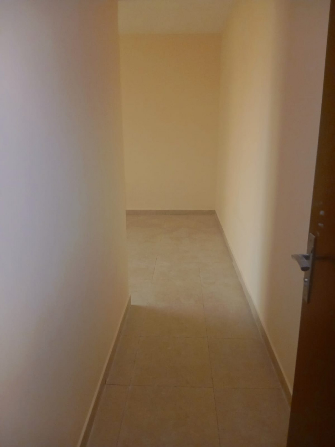 Two-bedroom apartment with a living room in Babushgara