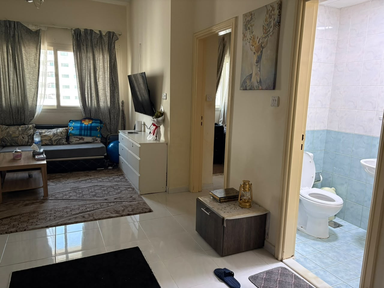 Clean apartment, one bedroom, living room, and separate kitchen