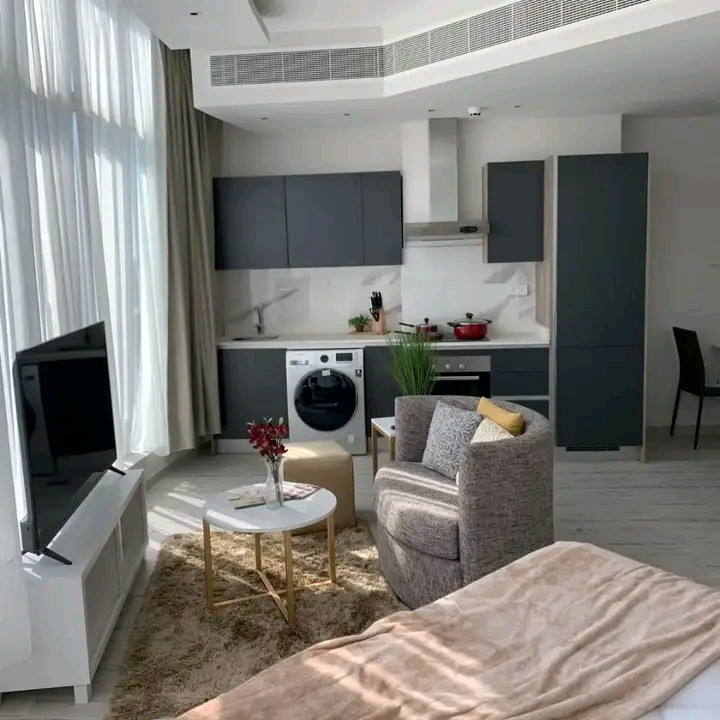 Luxuriously furnished studio in the Seef area