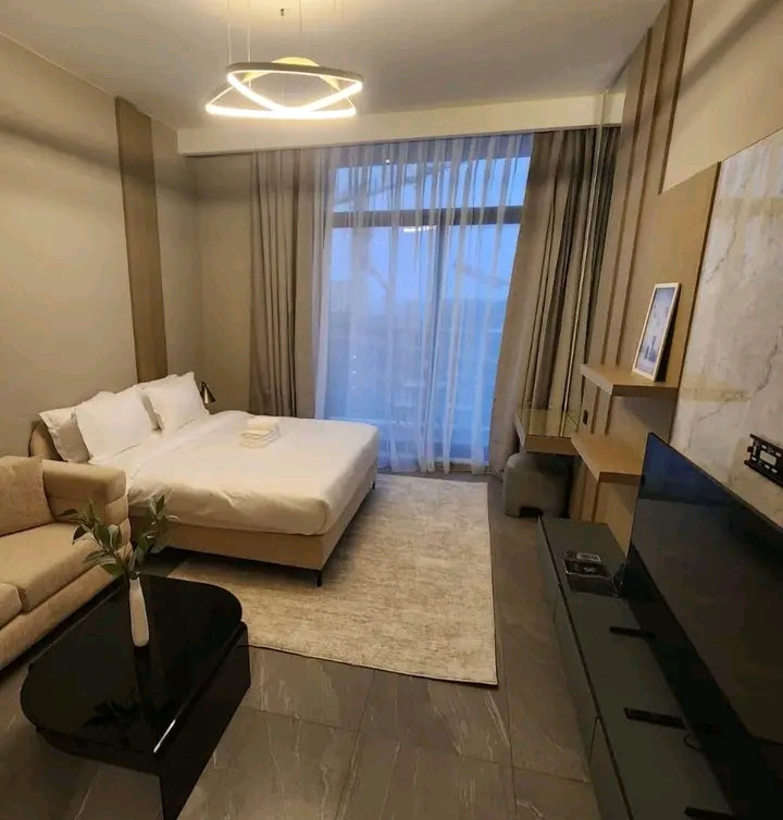 stylish-living-fully-furnished01786211833.jpg