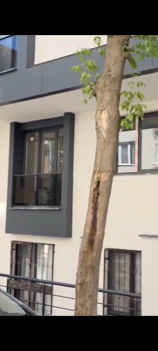 Türkiye, Istanbul