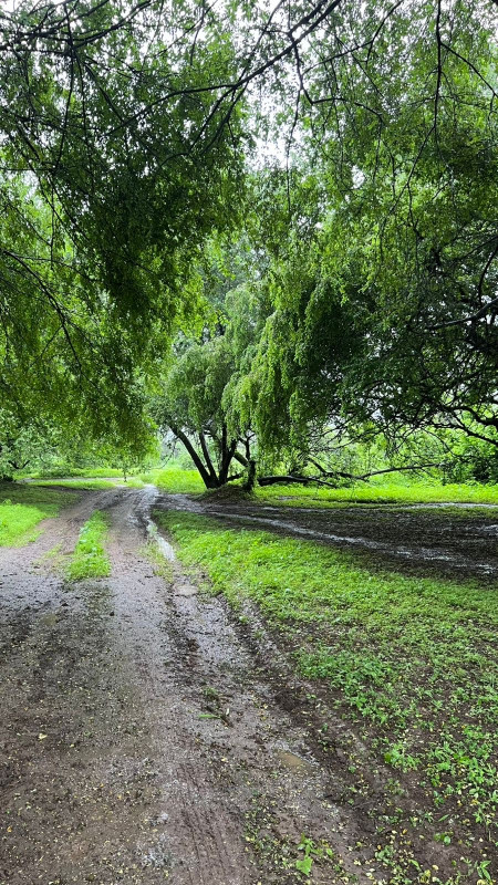 The Khareef season in Salalah this year was expetional. I enjoyed the beautiful views and traditional food.
